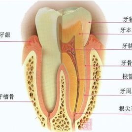 口腔黏膜疾病 不仅仅是“上火”，一文读懂常见类型与防治
